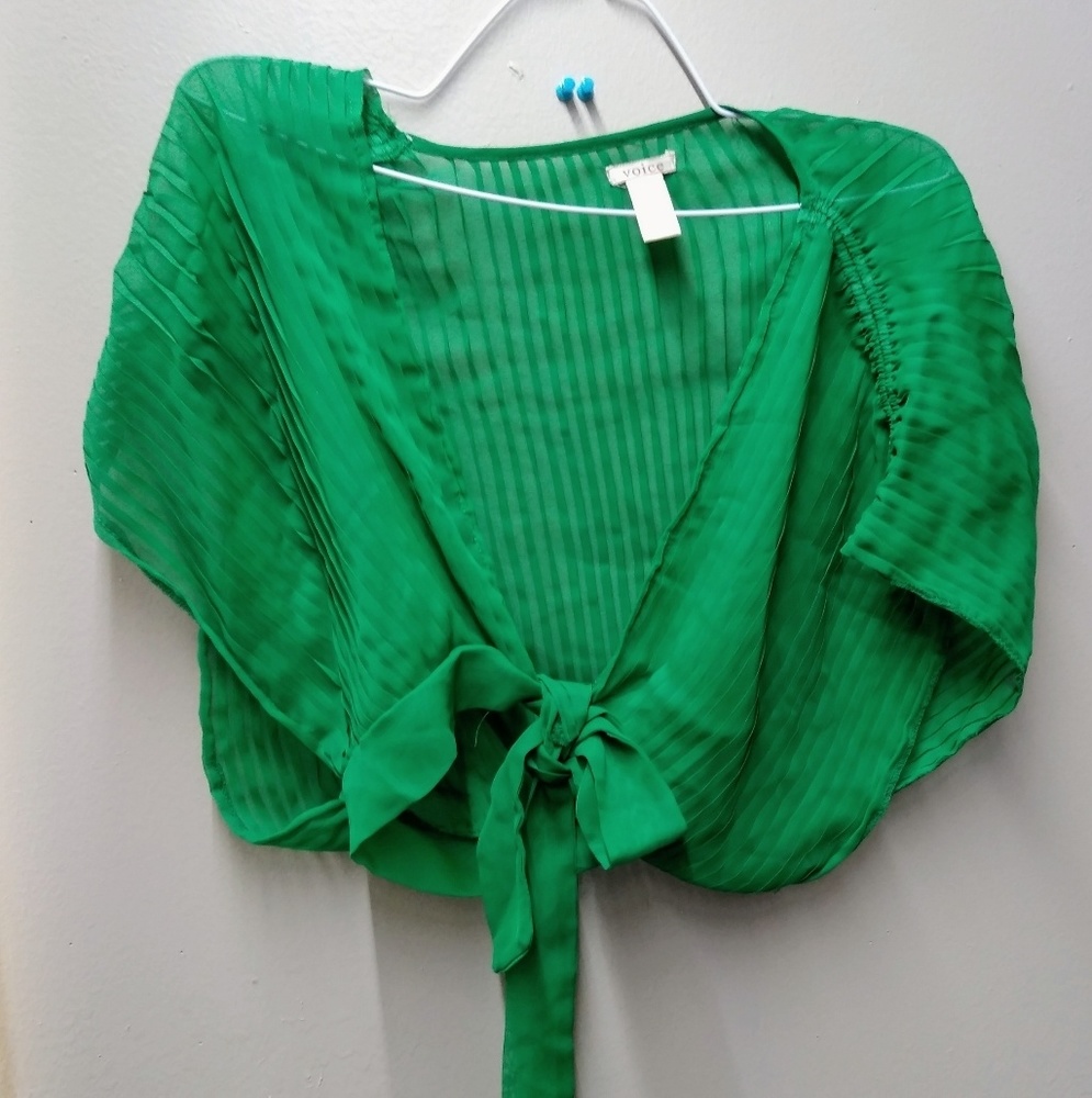 Crop Top Blouse (green)